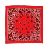 Rumble Cloth - CHOLO BANDANA RD