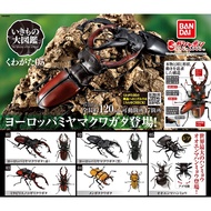 Gashapon Beetle Pliers Bandai Kuwaita Stag Action Vol.05 Animal Model