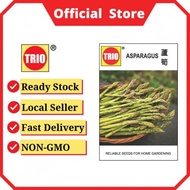 [Seeds] Trio Asparagus Seeds/芦笋种子 | Non-GMO, Reliable Seed for Home Gardening (Official Seller)