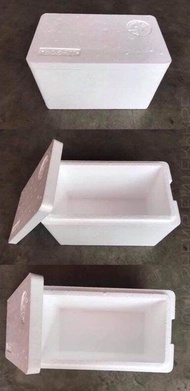 TP305 Polyfoam Box  (28cm × 16cm × 19cm)