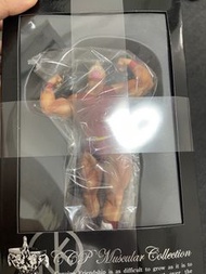 筋肉人ccp