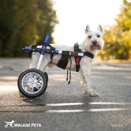 Pet Dog Wheelchair Dog Rehabilitation Walking Assistance Cart Power Car Pet Dog Scooter