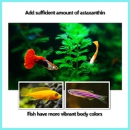 ▭ Ⅾ ♰ Fish Food Premium Goldfish Food Pellets Color Enhancing Fish Food Discus Fish Food