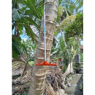 WIPER FLOOR MOP/DRAGON FLOOR MOP