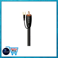 AUDIOQUEST : BLACK LAB SUB (3M)/(5M)/(8M) สายซับวูฟเฟอร์ /piyanas electric/ปิยะนัส อิเล็คทริคส์