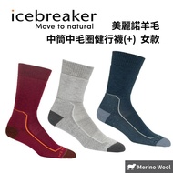 [icebreaker] Women's Mid-Tube Mid-Tube Terry Hiking Socks (Left Right Foot) Merino Wool Antibacteria
