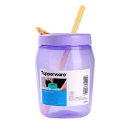Tupperware 550ml Universal Jar BPA-Free Leakproof H2GO Water Bottle with Reusable Straw