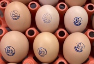 ไข่เชื้อไก่ตะเภาทองและไก่ตะเภาแก้ว ฟองละ 30 บาท รับ 10 ฟอง แถมฟรีเพิ่มให้อีก 2 ฟอง