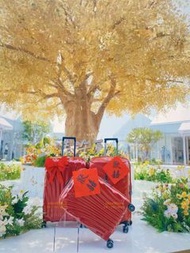 最後優惠 Samsonite C-LITE SPINNER 69/25 CHILI RED 25吋 升級超輕貝殼 中型托運箱 紅色 歐洲製造 C LITE 搵喼More易