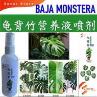 SaverStore Monstera Fertiliser Spray Monstera Deliciosa Baja pokok Monstera 龟背竹专用肥Monstera Plant Foo