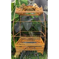 Sangkar Gaya Burung Merbah Jambul