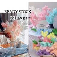 PRESERVED AAA 💐80G Asparagus Fern REAL Preserved Flowers Pakis Asparagus Dried Flowers Dry Flower 干花