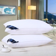 BANTAL HOTEL HILTON GEBU