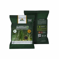 Benih Buncis Tegak / Baby Buncis (Tanpa Lanjaran) 500 Gram Varietas Balitsa 2 Tjap Bukitmas