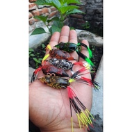 September Frog BRANTAZ skirt 4.5cm blackbulls 2/0