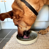 Alloving Slow Feeder Dog Bowls Anti-Choking Safe Silicone Food-grade Lick Pad for Small Medium Size Dogs AL-MY
