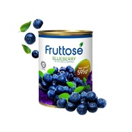 Fruttose Mango Blueberry Pie Filling Topping  Filling  Fruit Decorations  Tin Fruits