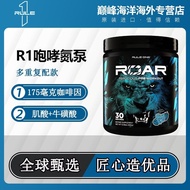 Original Imported RULE 1 Nitrogen Pump Endurance Explosive Power Monohydrate Creatine Powder Fitness