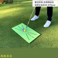 PGM高爾夫練習墊 室內揮桿練習墊可顯軌跡 迷你打擊墊 高爾夫球墊 練習器DJD030