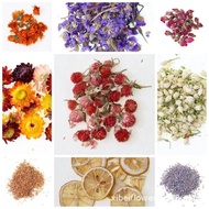 Real Dried Flower Dry Plant For Aromatherapy Candle Epoxy Resin Pendant Decor