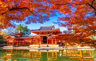 Kyoto & Uji | Kinkaku-ji Temple, Kiyomizu-dera Temple, Kongo-ji Temple, Yasaka Koshin-do Temple, Uji