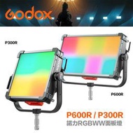 【攝界】公司貨 GODOX 神牛 諾力 P300R RGBWW 影視面板燈 350W P600R RGB面板燈