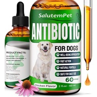 Dog Antibiotics for Infections, Cough, & Itching | Natural Antibiotics for Dogs for All Ages to Prom