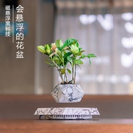 Source Magnetic Levitation Potted Plant Magnetic Levitation Flowerpot Free Shipping Creative Ornamen