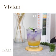 Gelas Kaca Beling Bening Citinova Vivian 360ML Gelas Unik Saji Minuman Cocktail Smoothies Dessert Fr