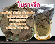 ใบรางจืดแห้ง 100 กรัม สมุนไพรไทย ร้านเรือนฮัก