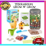 Terrarium Grow N' Glow Planting Science Experiment Kit Science Educational Toy Science Kit Grow Plan