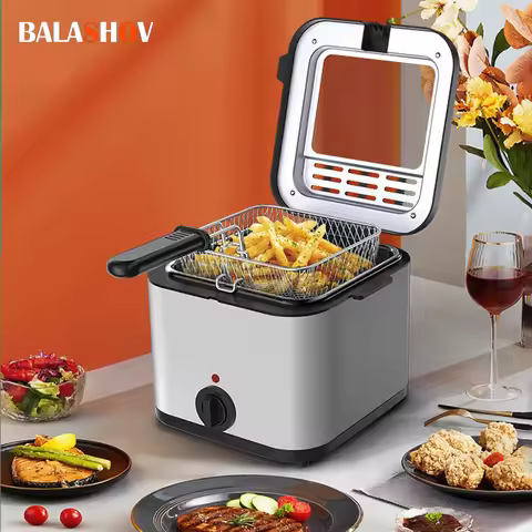Electric deep fryer 2.5L large capacity countertop commercial fryer for street vendors fried chicken