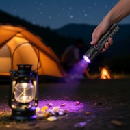 Zoomable Ultraviolet Flashlight 395/365nm, USB Rechargeable Handheld Counterfeit Detector with 18650
