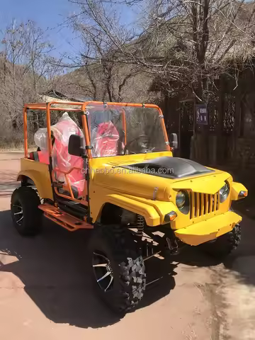 Custom Mini 320cc 4x4 UTV Adult 2 Seater Kart for Sale