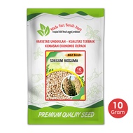PROMO Benih sorgum bioguma air nira batang manis 10 gram / benih bibit pakan ternak super