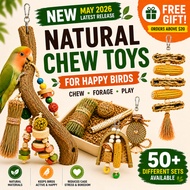 Bird Toy | Parrot Toy Set Natural Chew Toys | Cage Toys Anti Boredom| Lovebird Budgie Cockatiel