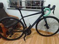 Bigrock 碳纖維公路車