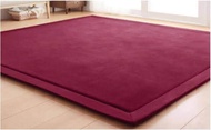 90X180 CM 20MM KARPET TATAMI TEBAL ORIGINAL JAPANESE CARPET HIGH KUALITI  KARPET ONLY.