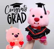 即寄 現貨❣️ Loopy 畢業公仔 🎓 20cm / 30cm 正品公仔‼️  可加 畢業帽 畢業袍 loopy花束 loopy捲髮器 loopy公仔花束  loopy現貨  ZANMANG LOO