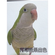 Imported Pattern Cardboard Fabric Pattern Grid a3/a4 Special Art Printing Paper Cover Table Card Inv