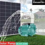 ปั้มหอยโข่งบัลเลส ปั๊มหอยโข่ง ชุดปั๊มน้ำ โซล่าเซลส์ โซล่าเซลล์ รุ่น QB-60 230W 24VDC Solar Water Pump（ไม่รวมแผงพลังงานแสงอาทิตย์）