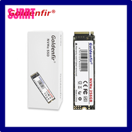 SSD M2 SJRRT NVMe 256GB Goldenfir M.2 PCIe 128GB 120GB 512GB 1T ดิสก์แบบแข็งฮาร์ดไดรฟ์ภายในสำหรับโน็คบุคตั้งโต๊ะ TLC TYJYJ