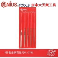Genius Talent Tool 5-Piece Set Diamond File Set Assorted Set FL-0785