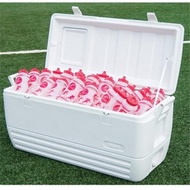 Cooler Box - Igloo Polar 120Qt /114Lt UQ