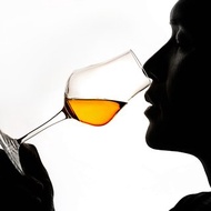 義大利 Luigi Bormioli 烈酒杯 品酒杯 170ml