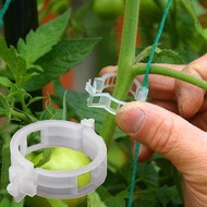 [Pantorastar] 100PCs Plant Connector Plastic Connects Tomato Growing Clamp Tool Fixed Vine Watermelons Fix Melon Grafting Wire Nets Set Vegetables White Hanging Support Clips