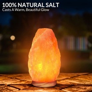 Himalayan Salt Lamp  Himalayan Salt Lamps