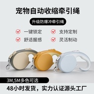Distribute Pet Leash Automatic Retractable Rice Rapid Brake Dog Supplies Large Dogs QQ0929