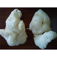 2pcs Dried Dry Hu Lu Gourd Fish Maw 葫蘆鰾 魚鰾 Yu Biao Piao YuBiao YuPiao