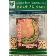 Seed/Biji Benih Kacang Panjang Taiwan (H183)